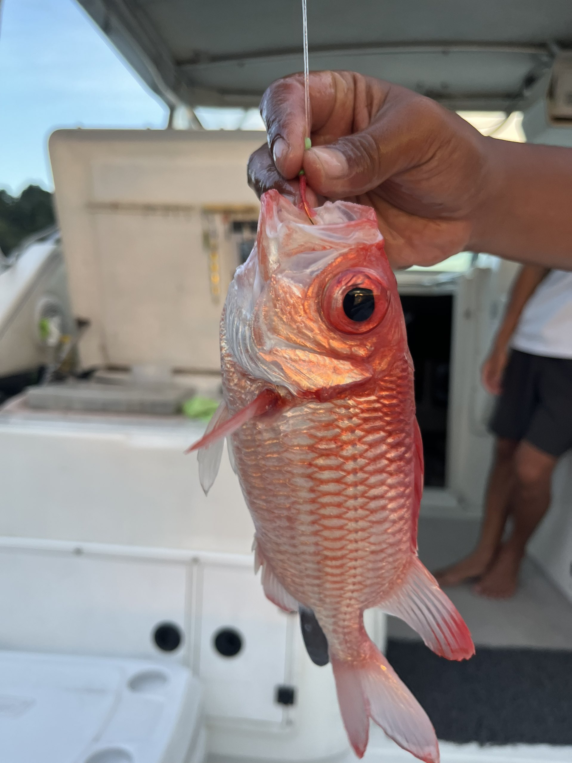 Squirrel Fish at Singapore