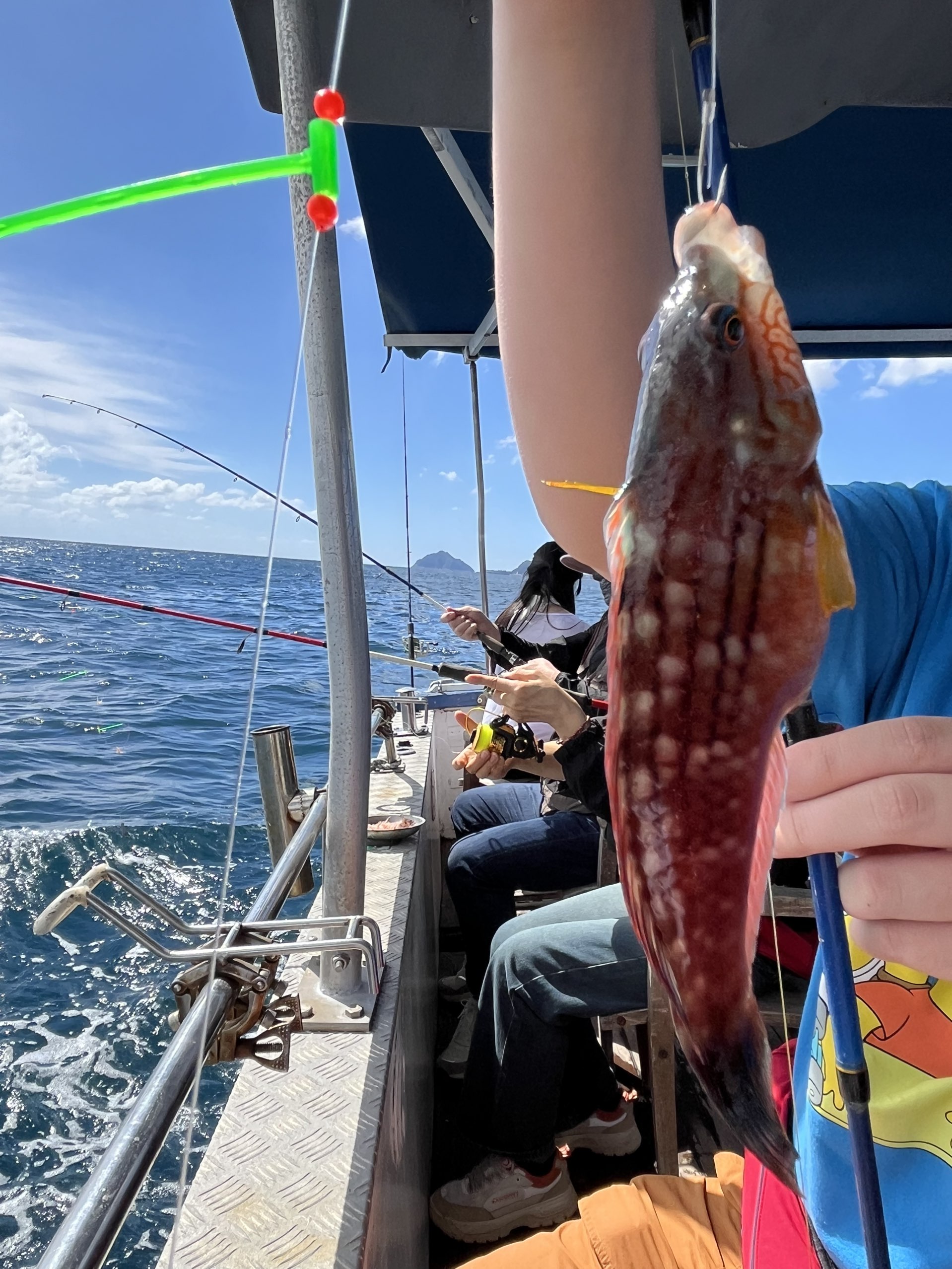 Small Fish at Jeju